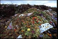 The primary difference between a garbage disposal and trash compactor is that a garbage disposal is designed to eliminate only food waste in a manner that immediately removes it from your home. Leftovers Into The Trash Or Kitchen Disposal Essential Answer Stanford Magazine