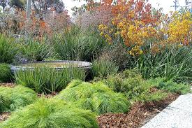 Garden Design And Landscape Design Ideas With Pictures Of Gardens Descripti Australian Garden Design Modern Landscape Design Front Yard Front Garden Landscape