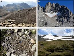 Image result for Blanco Glacier 1995 Renault