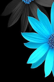 Flower Wallpapers Iphone Android Blue Flower Wallpaper Flower Wallpaper Black Phone Wallpaper