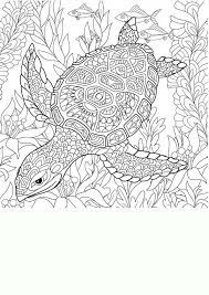 Pin En Dibujos Mandalas Para Colorear