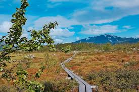 The awesome natural landscapes of sweden range from remote arctic tundras to deep volcanic gorges and sweeping seascapes. Travelettes 5 Reasons Why Sweden Is The No 1 Budget Choice For Nature Lovers Travelettes