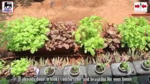 Supaya tetap produktif selama berada di rumah, salah satu yang bisa dilakukan ialah dengan bercocok tanam dengan metode hidroponik. Cara Mudah Tanam Sayuran Di Sekitar Rumah English Subbed Youtube