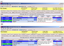 Screenshots Of A Before Charting Medication Administration