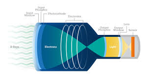Learn vocabulary, terms and more with flashcards, games and other study tools. Dynamic X Ray Imaging A Second Look A New Diagnosis Possibility Teledyne Imaging