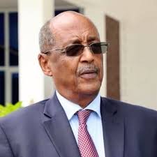 Dr Ali Isse Abdi