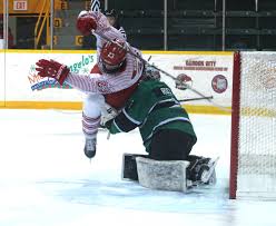 Les meilleurs adresses pour sports et loisirs articles et vetements detail et accessoires à fort erie, sur cette page Falcons Blank Panthers In Opener Bp Sports Niagara