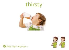 I discovered i learned the noun signs with only one or two looks at a card because so many of the signs mimic the i wanted to start baby signing(asl) with my 8 month old, but i wanted it to be like a nice game. Thirsty Flash Card Baby Sign Language Baby Signs Baby Sign Language Printable