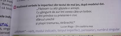 Rezultatul se poate vedea la final sau pe parcurs, în meniul principal, opțiunea „testele mele. Analizeaza Verbele La Imperfect Din Textul De Mai Jos Dupa Modelul Dat Va Rog Sa Ma Ajutati Dau Brainly Ro