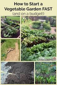 However, the research is starting to back up the idea that strategically planting flowers in the vegetable garden can be a wonderful idea. How To Start A Vegetable Garden Fast And On A Budget