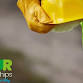 Property, Investment, Construction and Trade event image