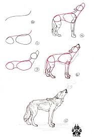 Comment Dessiner Un Loup Simple A Simple Images Man Like Wolf En 2020 Comment Dessiner Un Loup Comment Dessiner Dessin De Loup