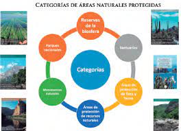 Las áreas protegidas son esenciales para conservar la biodiversidad natural y cultural y los bienes y servicios ambientales que brindan son esenciales para la sociedad. Categorias De Areas Naturales Protegidas Fuente Comision Nacional De Download Scientific Diagram