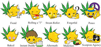 34 more shower thoughts to loofa yourself. Download Emoji Marijuana Funny Stoner Png Image With No Background Pngkey Com