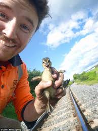 Smiling' duckling saved from train tracks by engineer