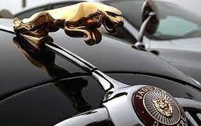 Jaguar Logo World Of Cars Jaguar Car Jaguar Car Symbol Luxury Car Logos