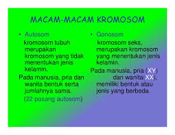 Substansi Genetika Ismail