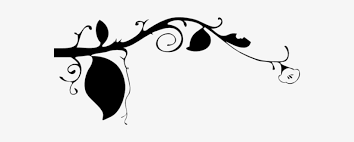 Maybe you would like to learn more about one of these? Pumpkin Clipart Black And White Vines Vine Clipart Black And White Transparent Png 570x250 Free Download On Nicepng