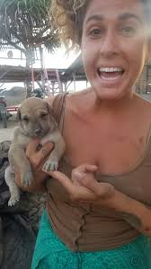 Met this miniature elephant seal today!!!!! Obviously I needed to be  sedated