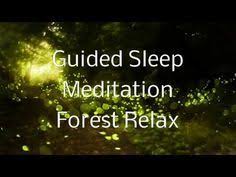 Guided Sleep Meditation Forest Relax By Jason Stephenson Youtubemy Favorite Music And Include Bedtime Meditation Guided Meditation For Sleep Sleep Meditation