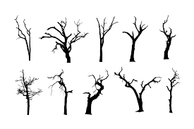 10 Spooky Dead Tree Silhouette Png Transparent Vol 2 Onlygfx Com Tree Silhouette Dead Tree Tattoo Tree Drawing