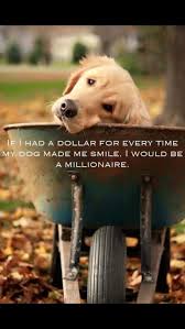 Unconditional Love Dog Quotes Dogs I Love Dogs