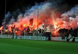 Der fc basel (the fc basel). Fc Aarau Fc Basel 15 05 2014