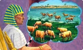 Jun 13, 2021 · vacas flacas pdf libr / pin en las vacas; El Tiempo De Las Vacas Flacas Biblia Y Poesia