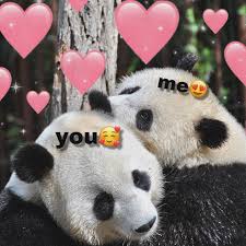 Pin By On Wholesome Memes Funny Memes Cute Love