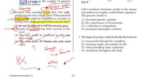 Answers to algebra 2 regents june 2020. June 2016 Regents Living Environment Test Review Youtube