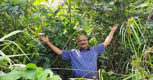 How to build a beautiful waterfall aquarium very easy \ for your family garden. How To Make Terrace Garden At Home 2021 Learn From An Expert