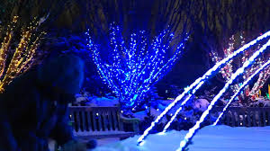 Festival Of Lights Green Bay Botanical Garden Youtube