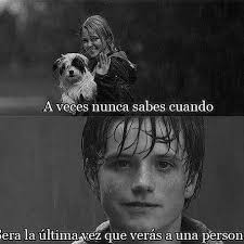 Randy Rosales (@randy_rosales7)