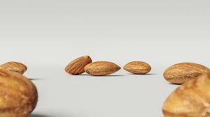 Almond 004 Almond 3d Model Food