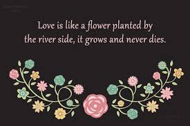 We did not find results for: Quote Love Is Like A Flower Planted By The River Side It Grows Coolnsmart