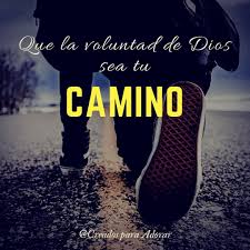 La Biblia Revela Que Dios Tiene Un Plan Para Cada Vida Y Que Si Vivimos En Una Comunion Constante Con El El Nos Dirigira Y Guiara Movie Posters Bible Movies