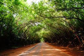 Haben sie es satt in einem land zu leben, in dem es fast immer paraguay ist ein sehr naturverbundenes land, mit einem sommerlichen klima fast das ganze jahr. Warum Nach Paraguay Auswandern Paraguay Services
