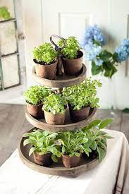 Vagabond Vintage 3 Tier Round Display Planter Tray Decor Country Farmhouse Decor Herbs Indoors