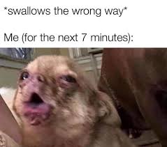 If Wanted To Make A Meme In This Format How I Do That I Almost Never Made A Meme Before I W Funny Pictures Fails Funny Relatable Memes Funny Memes