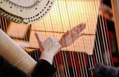 Gentlemen's Quartet with acclaimed singer Erin Shields