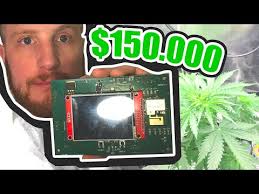 Alle Vinceandweed Folgen