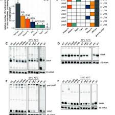 Daniel-Timon Spanka's research works