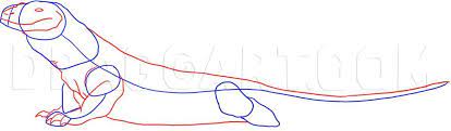 How to draw komodo dragon step by step #komodo #komododragon. Learn How To Draw A Komodo Dragon Step By Step Drawing Guide By Dawn Dragoart Com