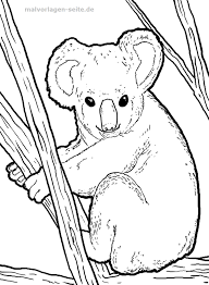 Malvorlage Koala Sketches Aboriginal Art Australian Animals
