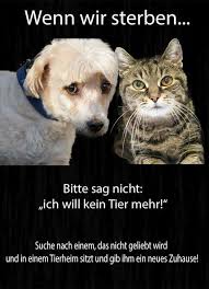 Pin Von Geraldine Gainey Auf My Pins In 2020 Spruche Tiere Spruch Katze Hunde