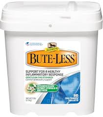 Image result for Hylebates