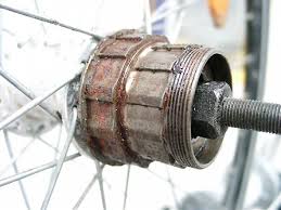 Freilauf Ausbauen Fahrrad Radforum De