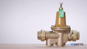 Watts 1 in. Double Union Lead-Free Brass Water Pressure ...