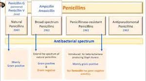 Image result for Extended Spectrum Penicillin