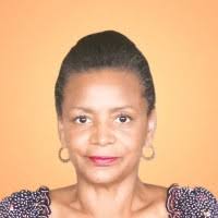 Opus Holding, L.L.C. Information